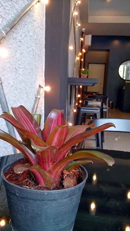 De Ja Moon Hostel เชียงใหม่ ภายนอก รูปภาพ